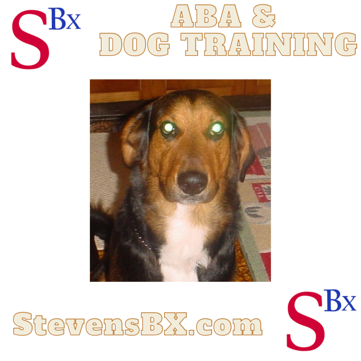 ABA and Dog Training